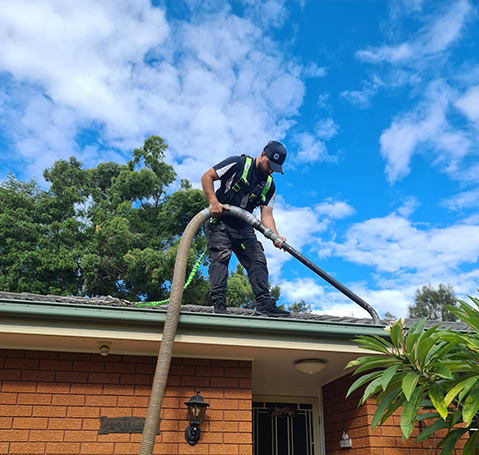 Gutter Cleaning