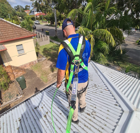 Roof Mildew Cleaning